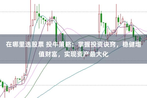 在哪里选股票 投牛策略：掌握投资诀窍，稳健增值财富，实现资产最大化
