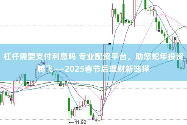 杠杆需要支付利息吗 专业配资平台，助您蛇年投资腾飞——2025春节后理财新选择