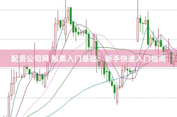 配资公司网 股票入门基础：新手快速入门指南