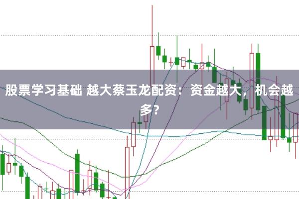 股票学习基础 越大蔡玉龙配资：资金越大，机会越多？