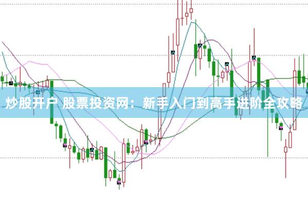 炒股开户 股票投资网：新手入门到高手进阶全攻略