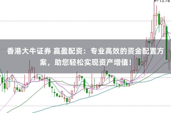 香港大牛证券 赢盈配资：专业高效的资金配置方案，助您轻松实现资产增值！