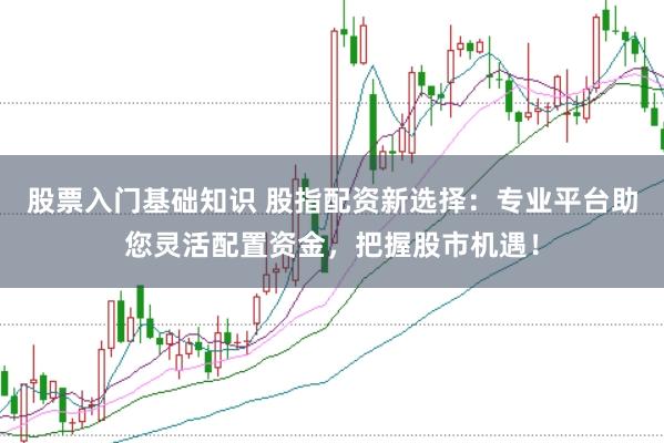 股票入门基础知识 股指配资新选择：专业平台助您灵活配置资金，把握股市机遇！