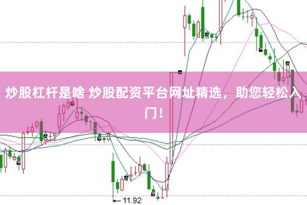 炒股杠杆是啥 炒股配资平台网址精选，助您轻松入门！