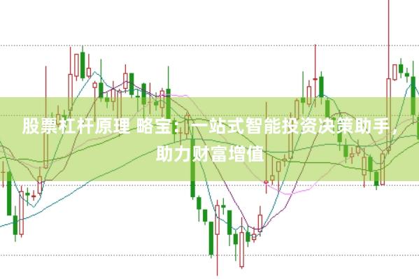 股票杠杆原理 略宝：一站式智能投资决策助手，助力财富增值